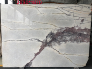 Las líneas desordenadas losa de la piedra del Hoar tejan el mármol blanco del piso de la pared con la vena gris